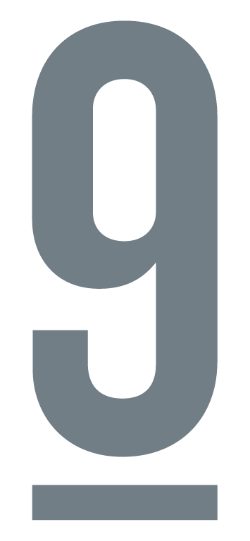 9DG_Logo_gris